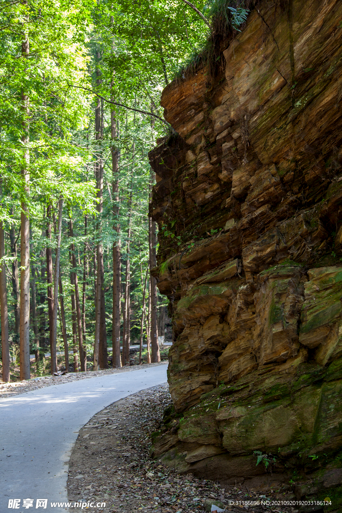 十堰牛头山国家森林公园