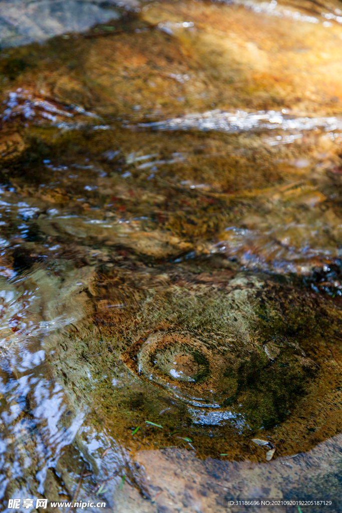 十堰牛头山国家森林公园