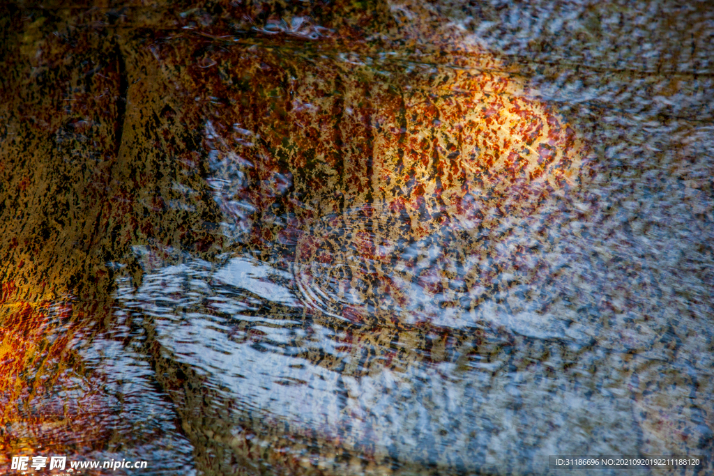 十堰牛头山国家森林公园