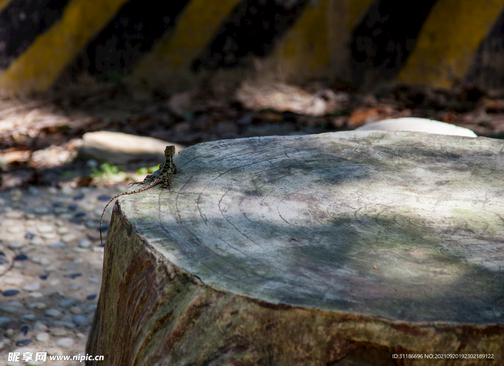 十堰牛头山国家森林公园