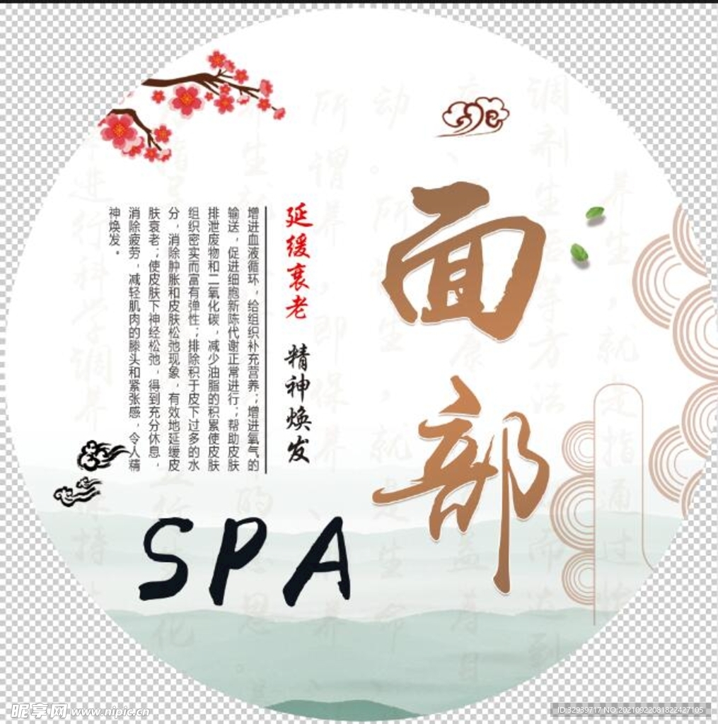 面部spa