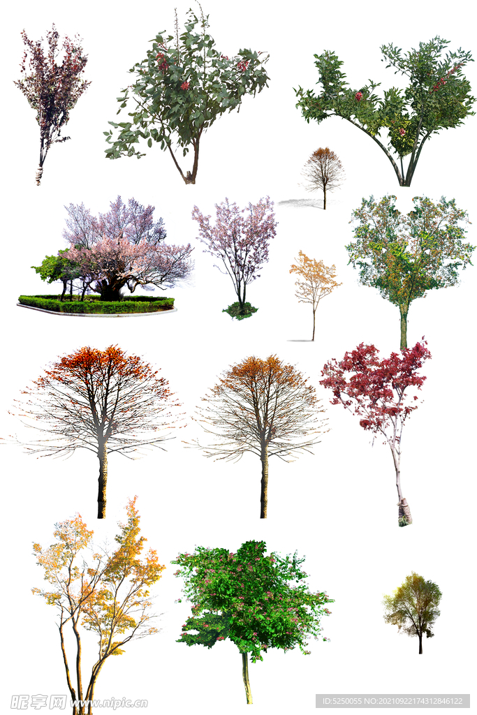 高清植物自抠贴图