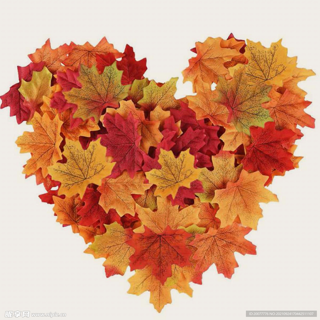 树叶摆成的心形