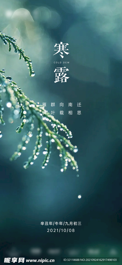 地产寒露节气单图