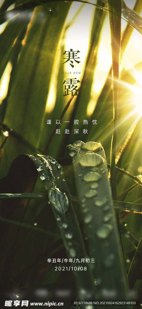 地产寒露节气单图