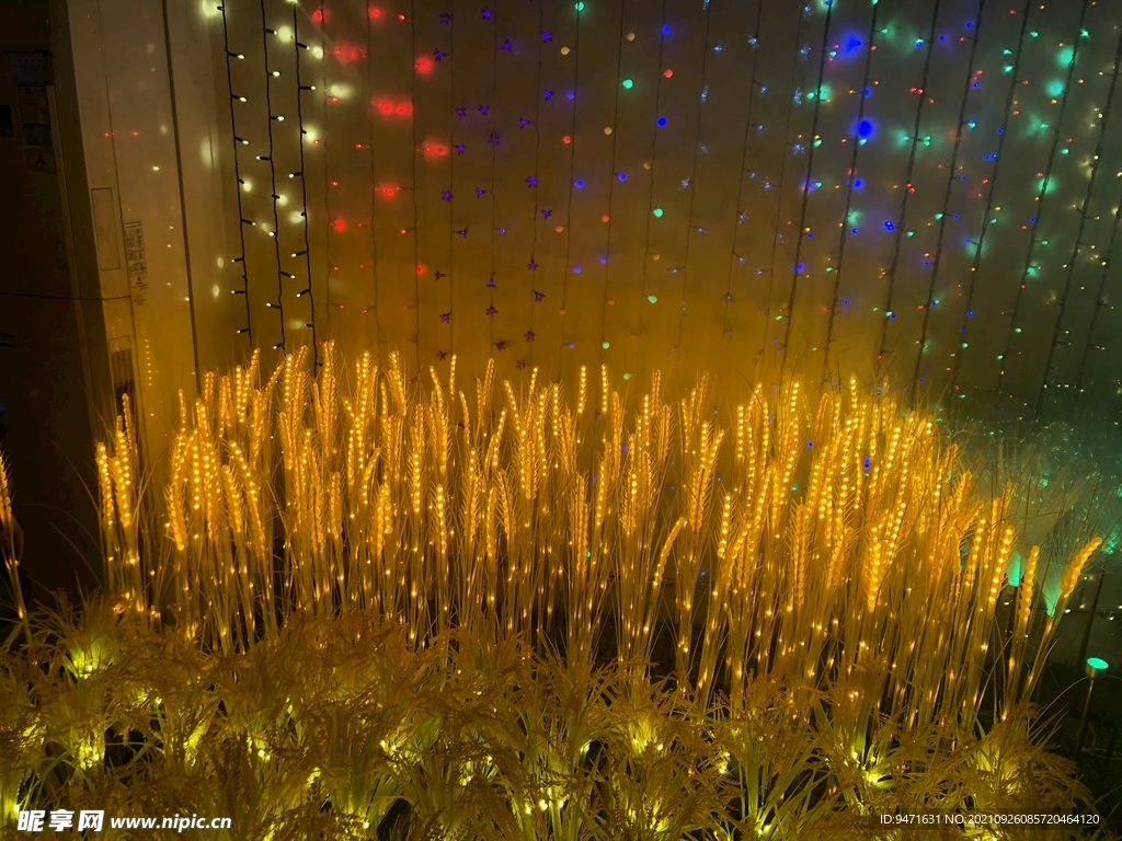 中国灯都国际路灯城景观稻田灯 