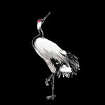 水墨仙鹤 元素 手绘 