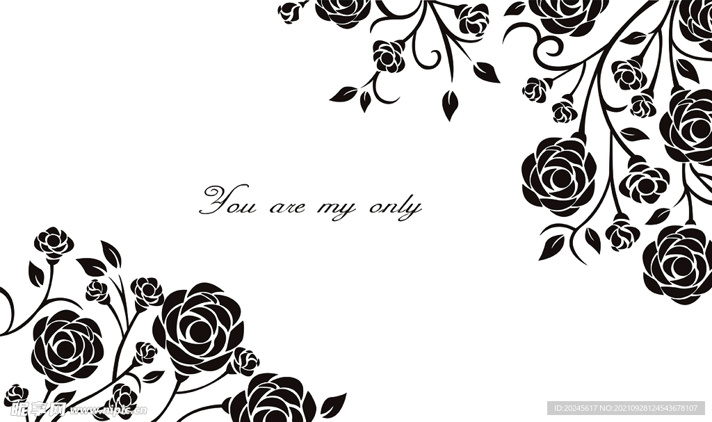 玫瑰对角花边背景