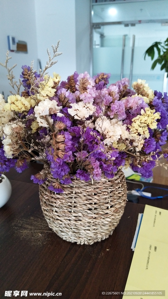 生活中的一抹绿