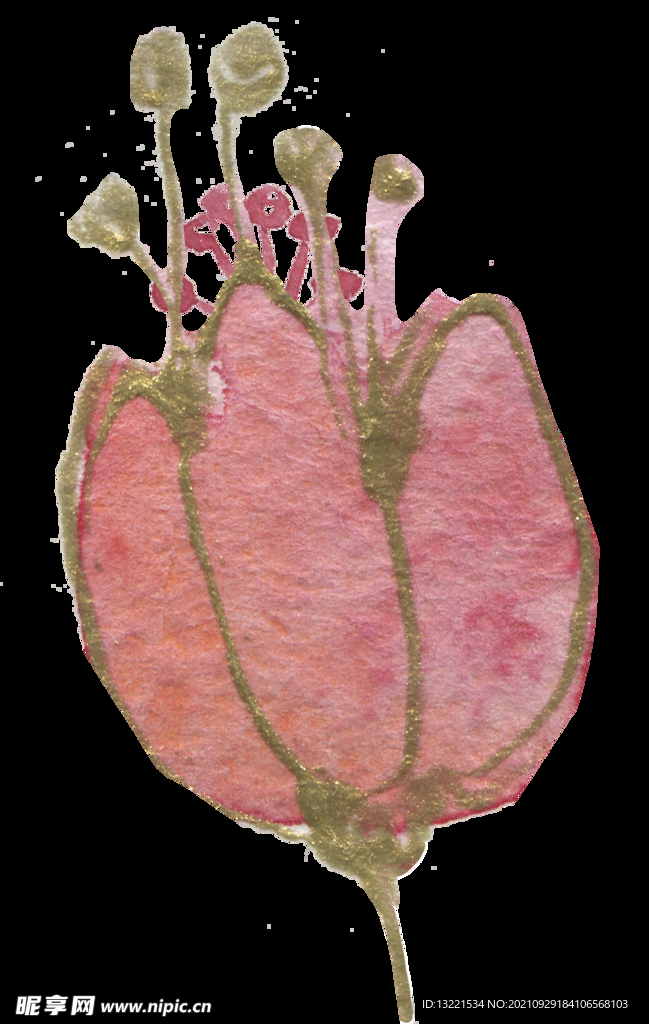 高清典雅花卉PNG素材系列