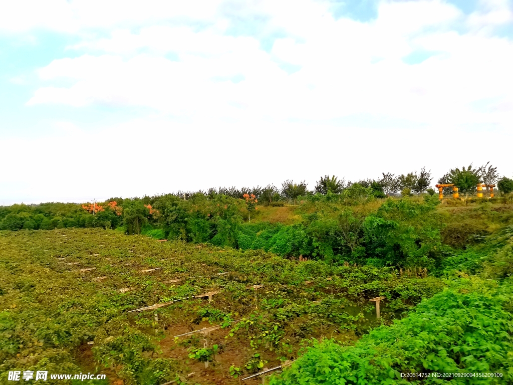 美丽的乡村风景