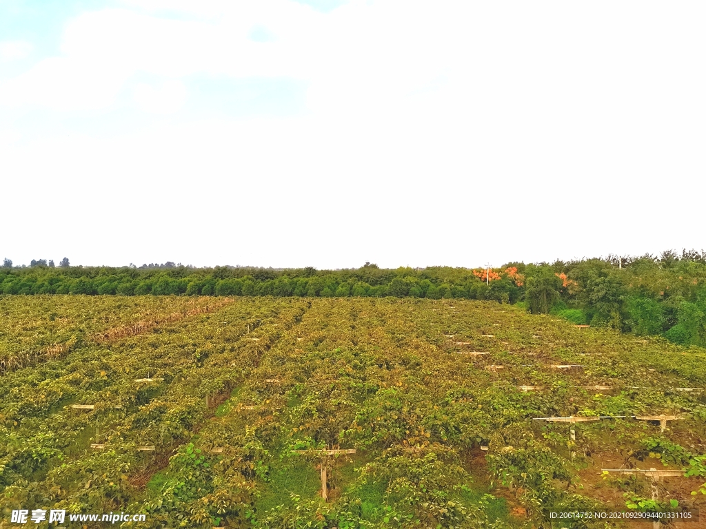 美丽的乡村风景