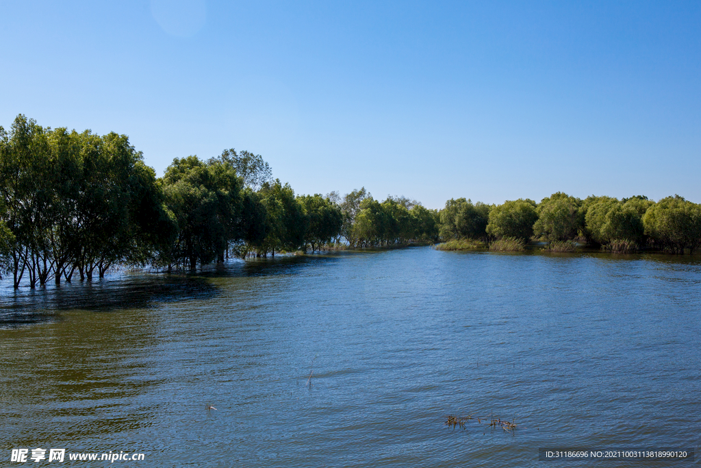 岳阳君山岛景区 汛期游船进出