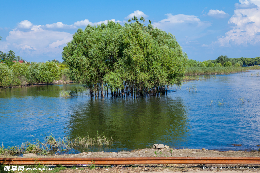 岳阳君山岛景区 汛期游船进出