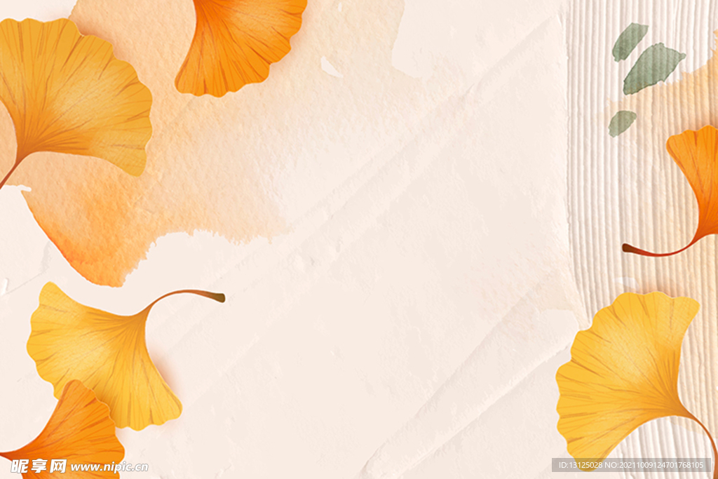 秋季银杏叶子矢量