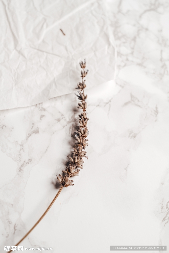 白色大理石背景高清花纹素雅