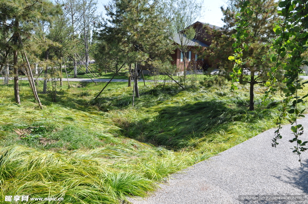 绿心公园绿地排水沟