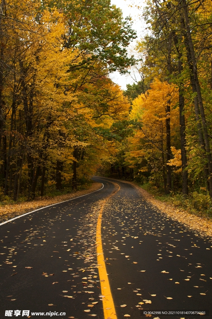 秋天的公路