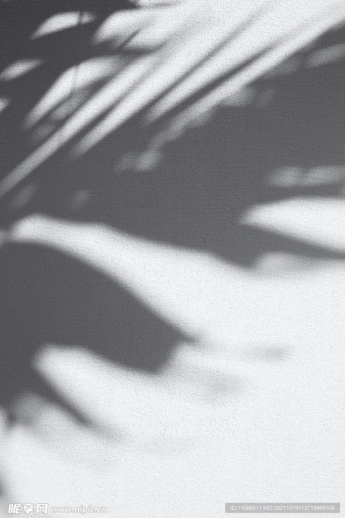 树叶树枝光影阴影素材底纹材质