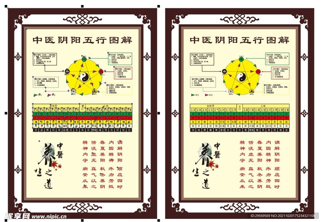 中医阴阳五行图解