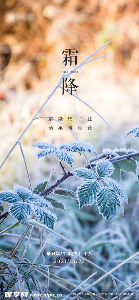 地产霜降节气海报