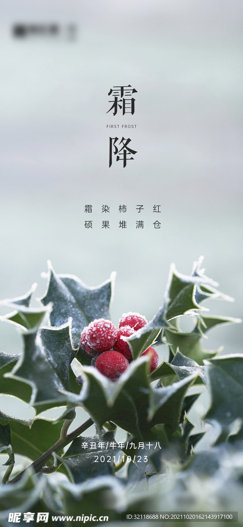 地产霜降节气海报