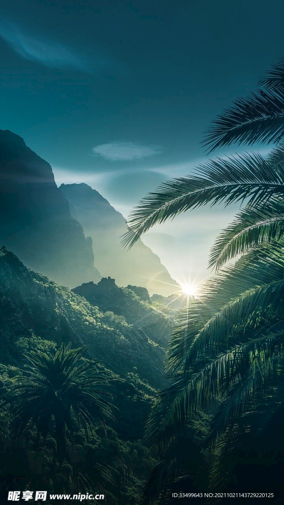 绿色丛林背景素材