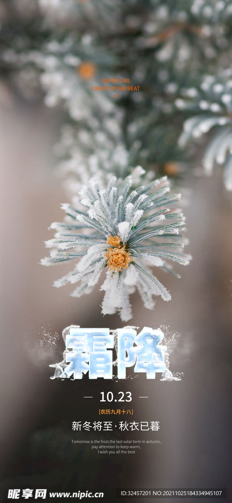 霜降 节气海报