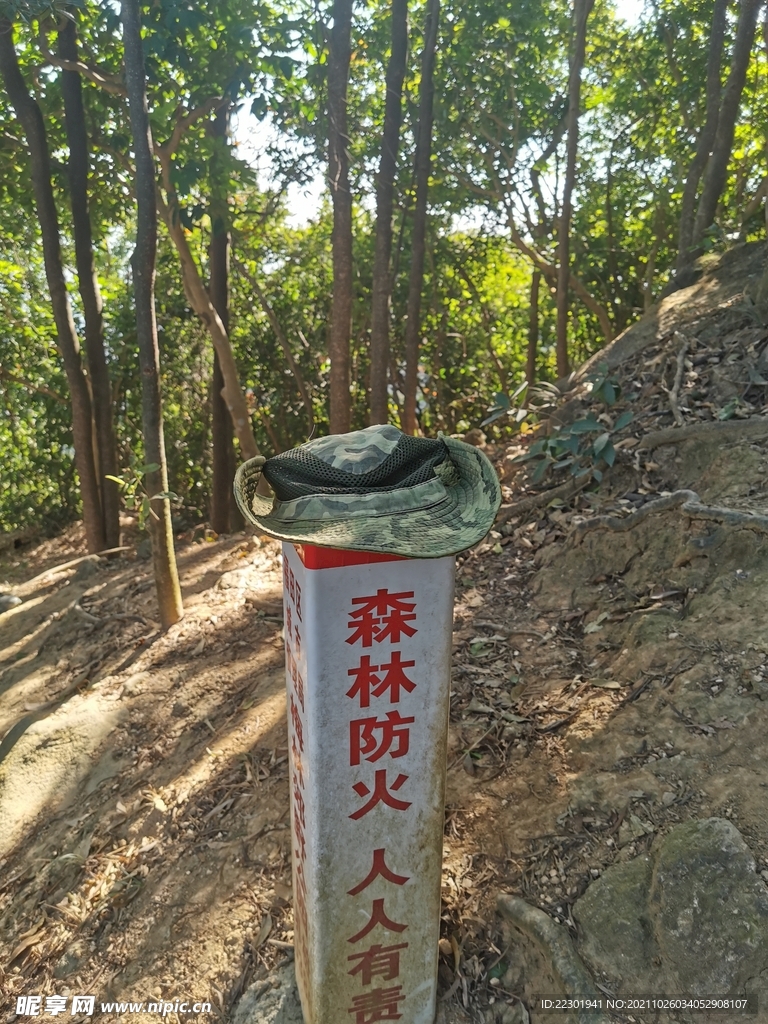 森林防火