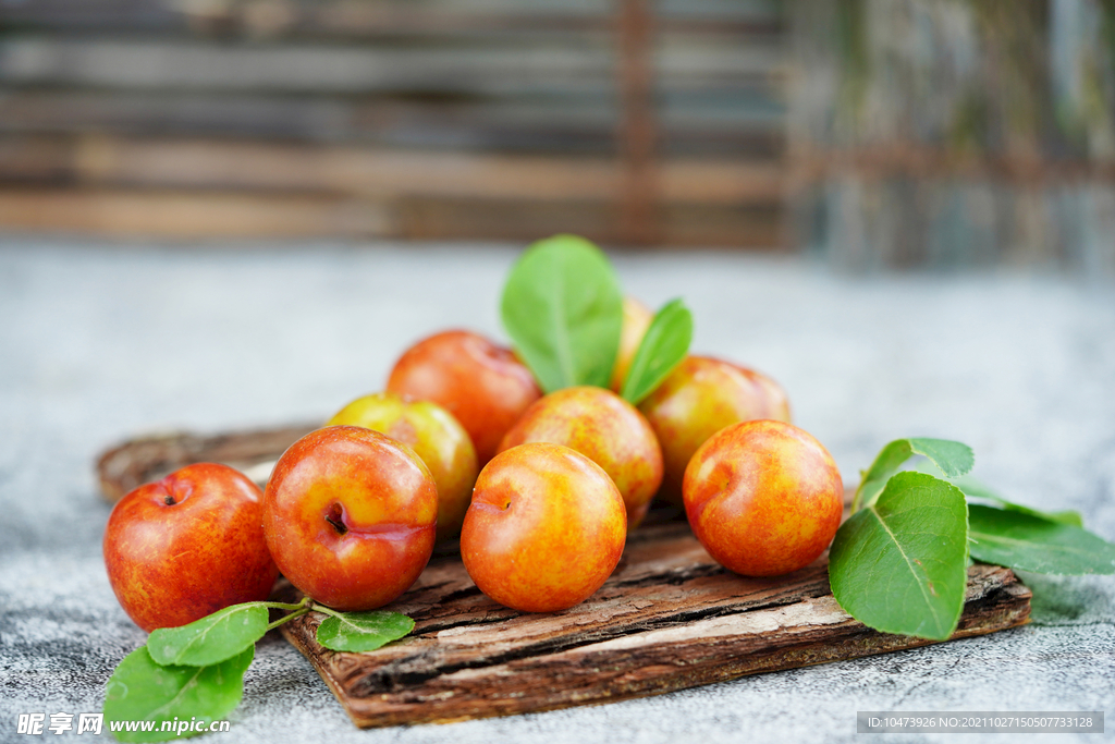 水果李子摄影图片