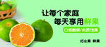 水果 桔子 橙子 青桔 青橙 