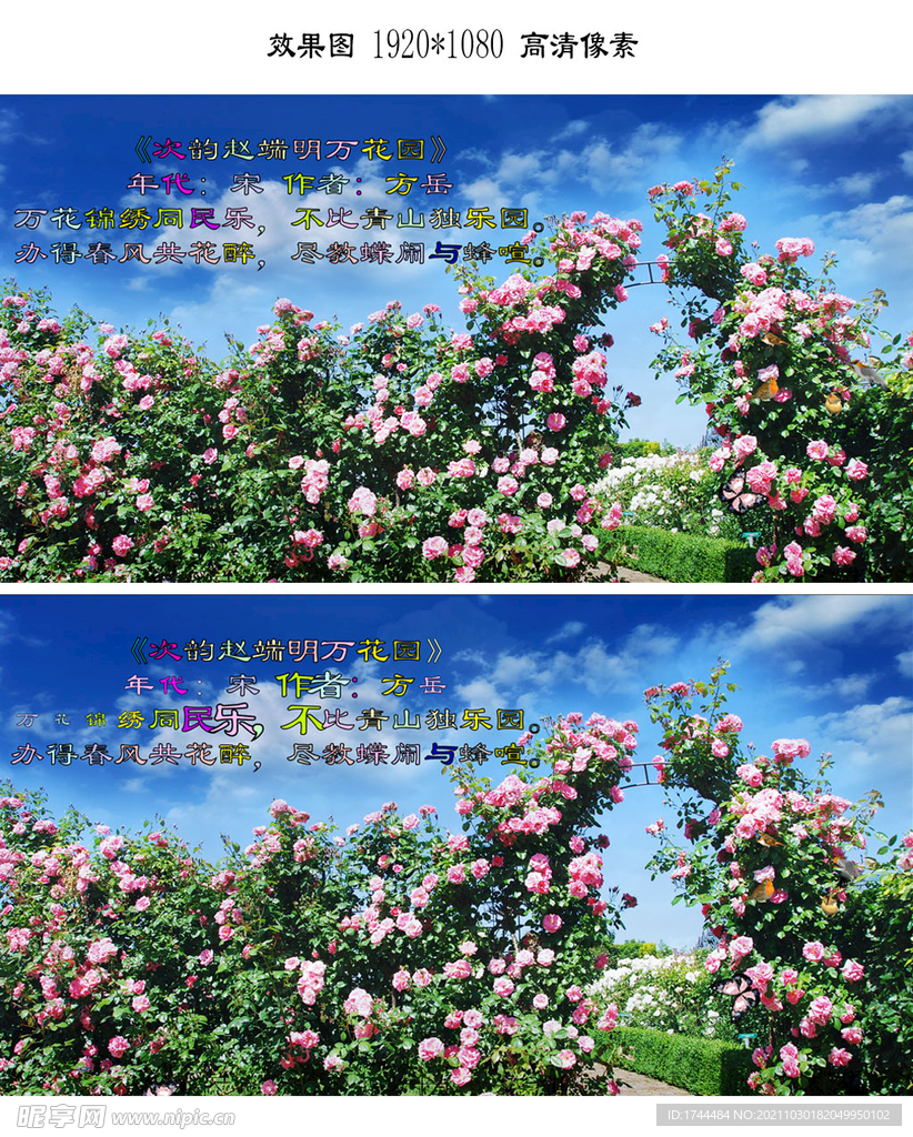 花园美景风景flash高清视频