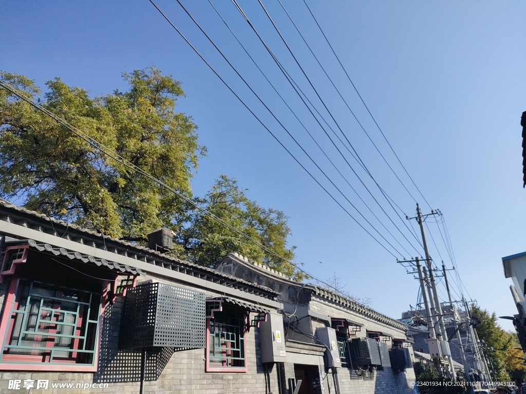 秋天北京胡同景色
