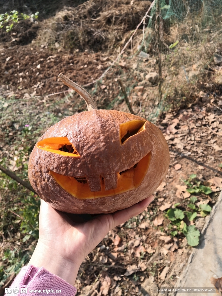万圣节南瓜