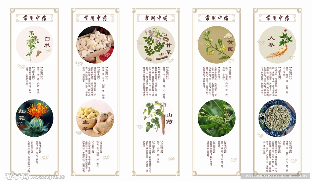 常用中药宣传