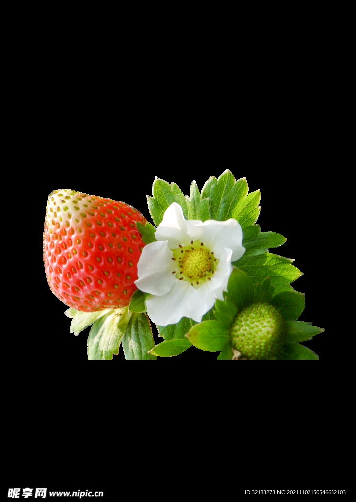 草莓抠图02