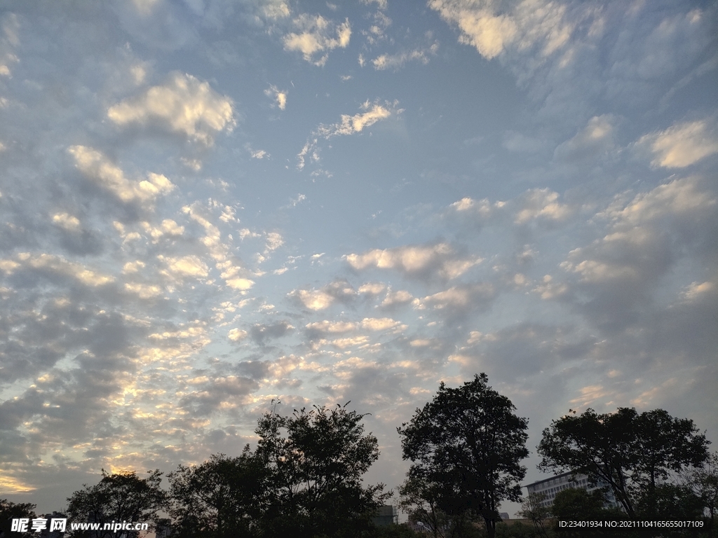 秋日日落天空云霞树木剪影