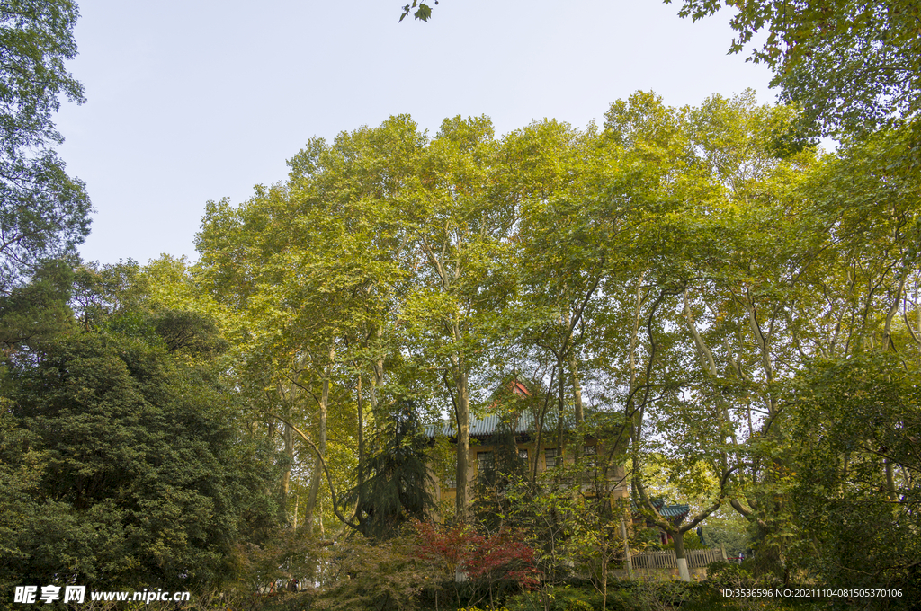 绿树掩映下的美龄宫