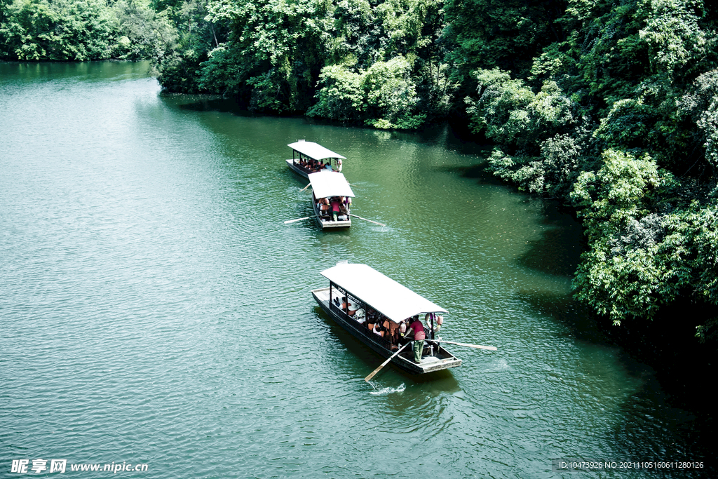 森林峡谷中的河流