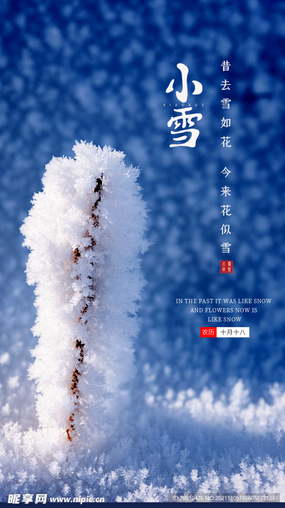 冬季小雪节气海报