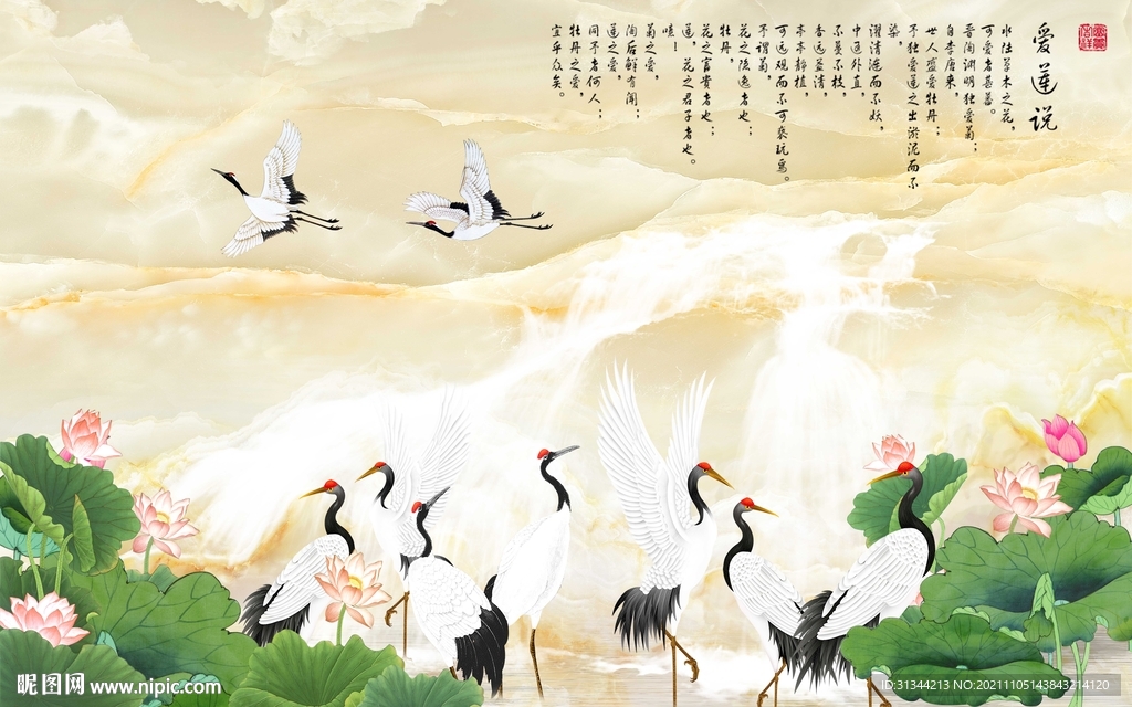 仙鹤荷花背景