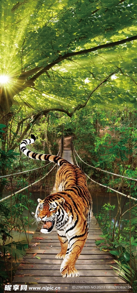 阳光树林虎啸山河