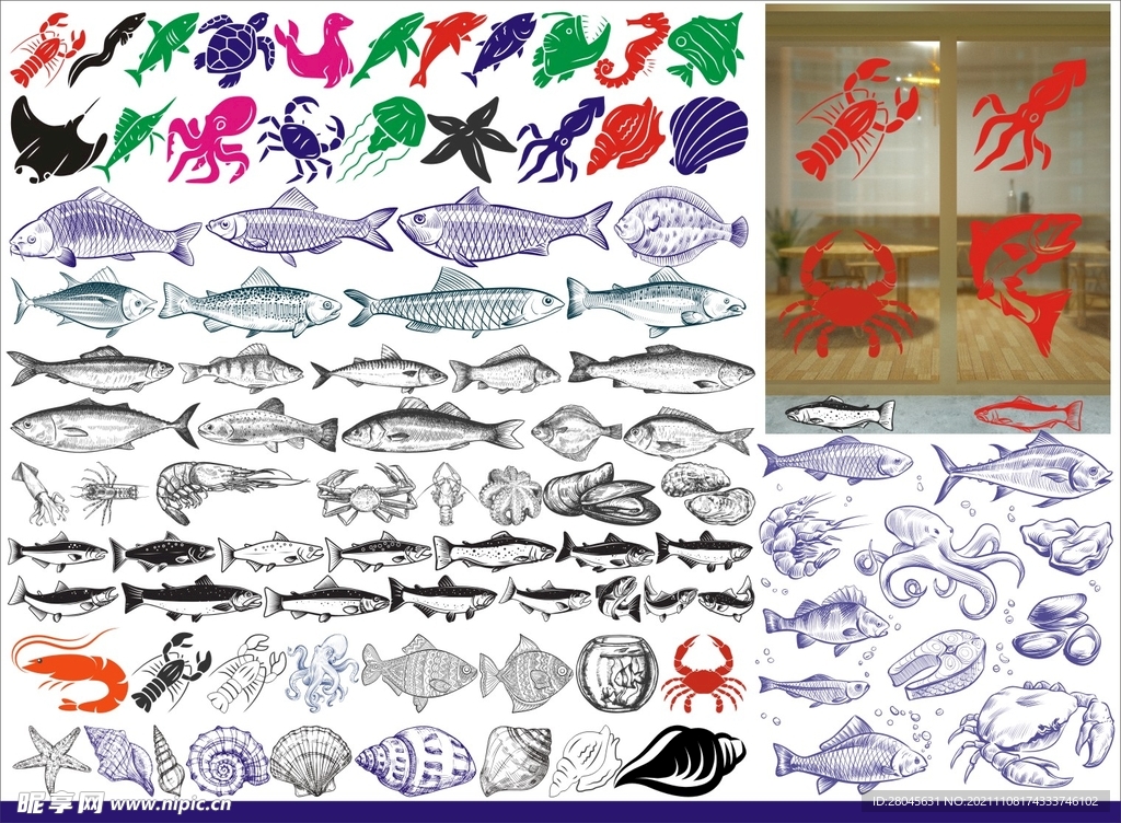 海洋动物鱼类矢量图