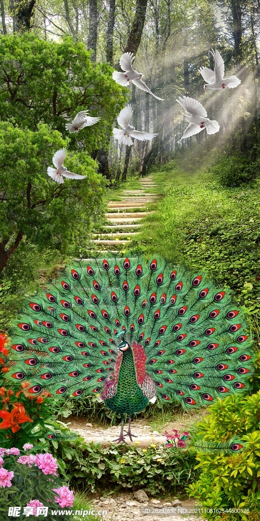 阳光树林孔雀玄关画