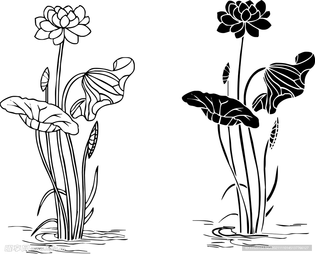 荷花黑白素材