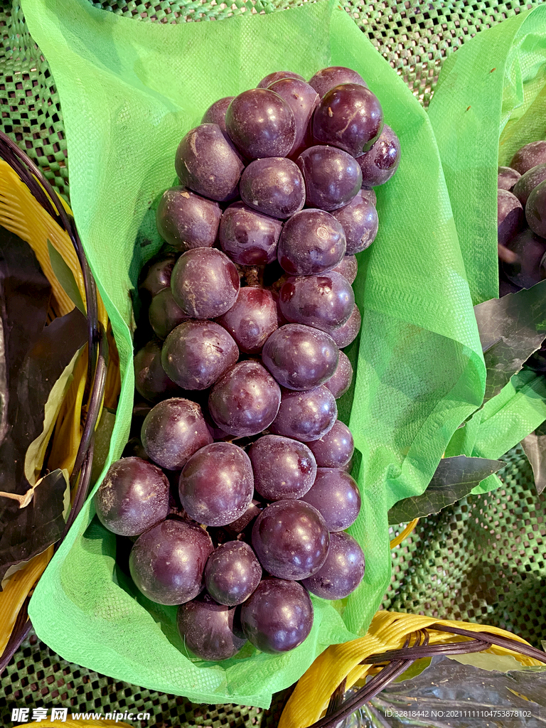 紫葡萄