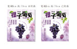 提子葡萄美陈设计