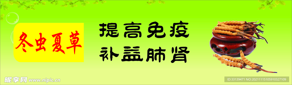 冬虫夏草