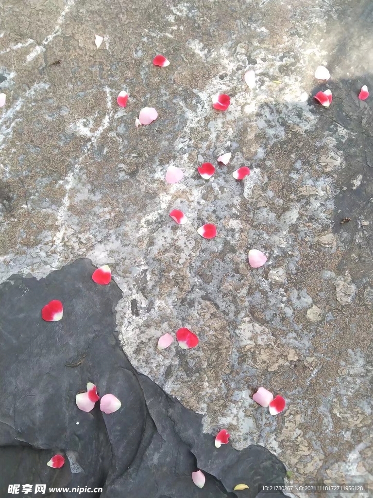 石头花瓣