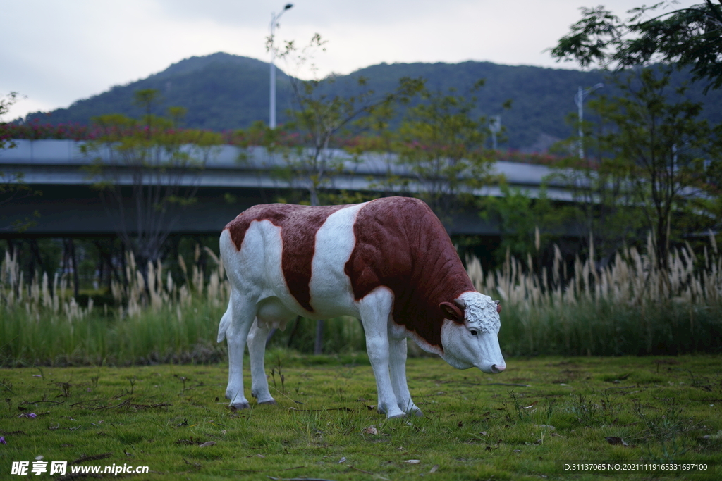 西门塔尔牛雕塑by泉州江之南